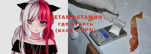 тгк Дмитриев