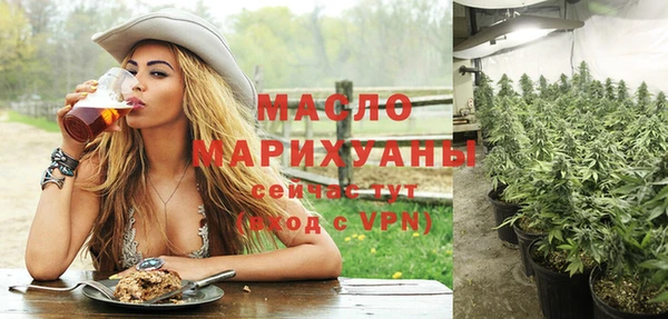 тгк Дмитриев