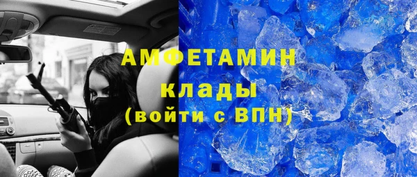 тгк Дмитриев