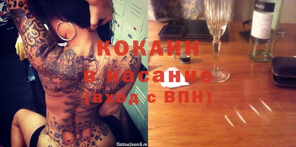 тгк Дмитриев