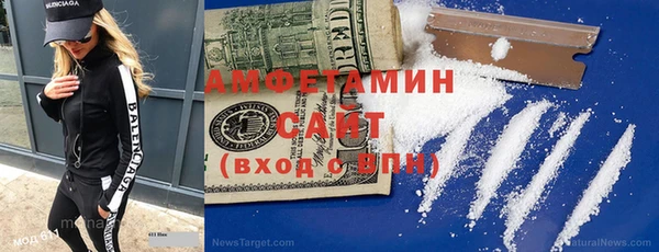 тгк Дмитриев