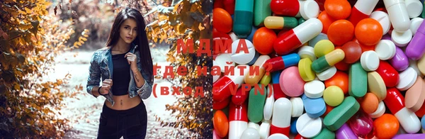 стаф Елизово