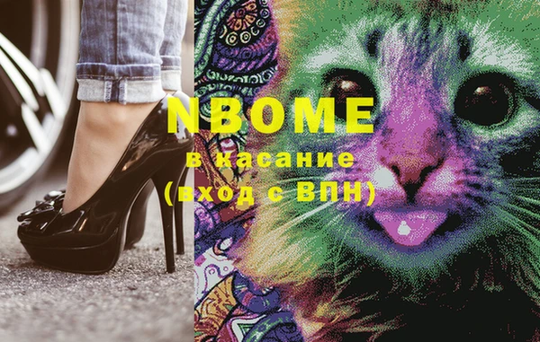 тгк Дмитриев