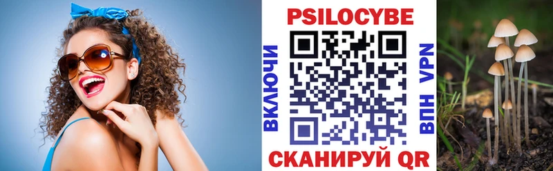 Псилоцибиновые грибы GOLDEN TEACHER  Купить закладки  Семёнов 